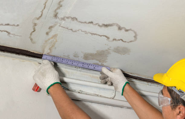 Reliable Water Damage Repair contractor in Rootstown, OH by Hirex Water Damage